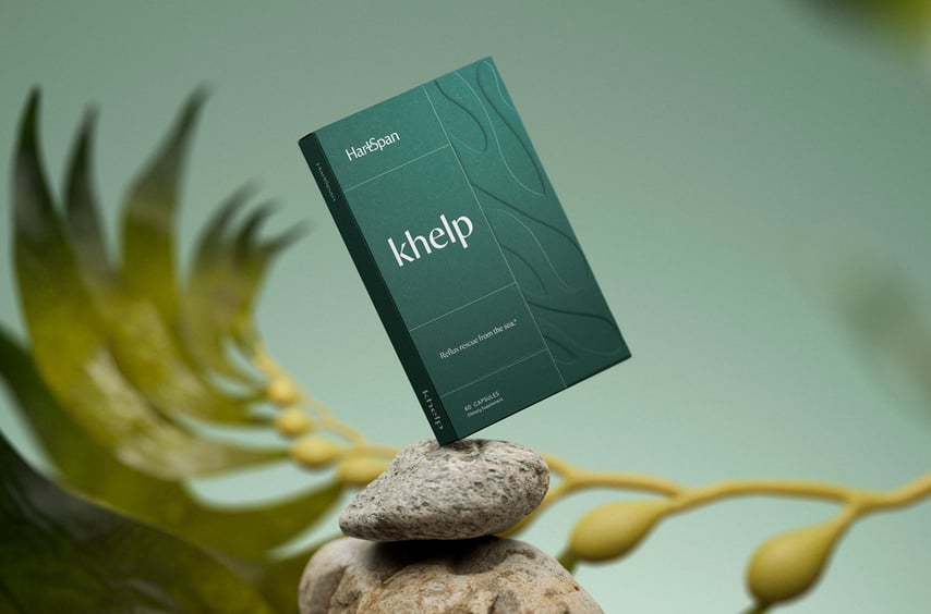 Designtrends Beispiel für Sustanability