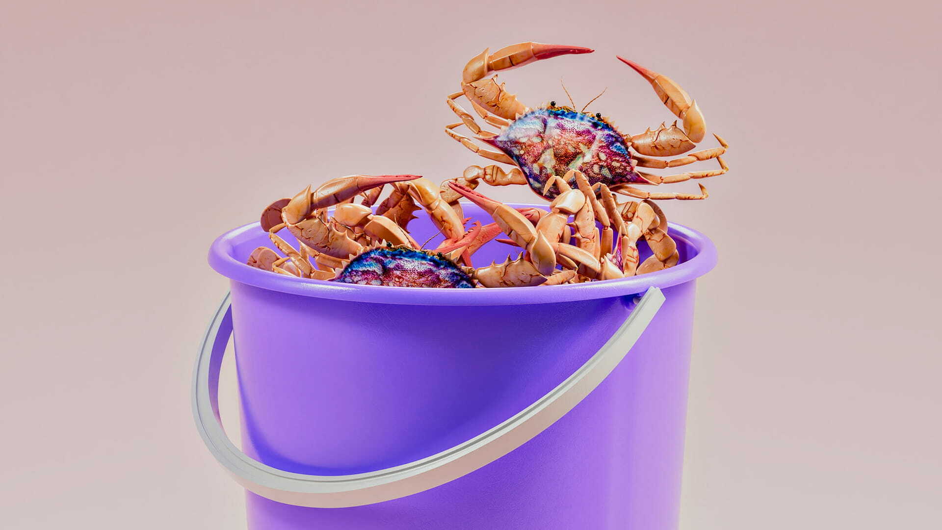 Markenerlebnis: Die Bedeutung der Brand Experience für Unternehmen