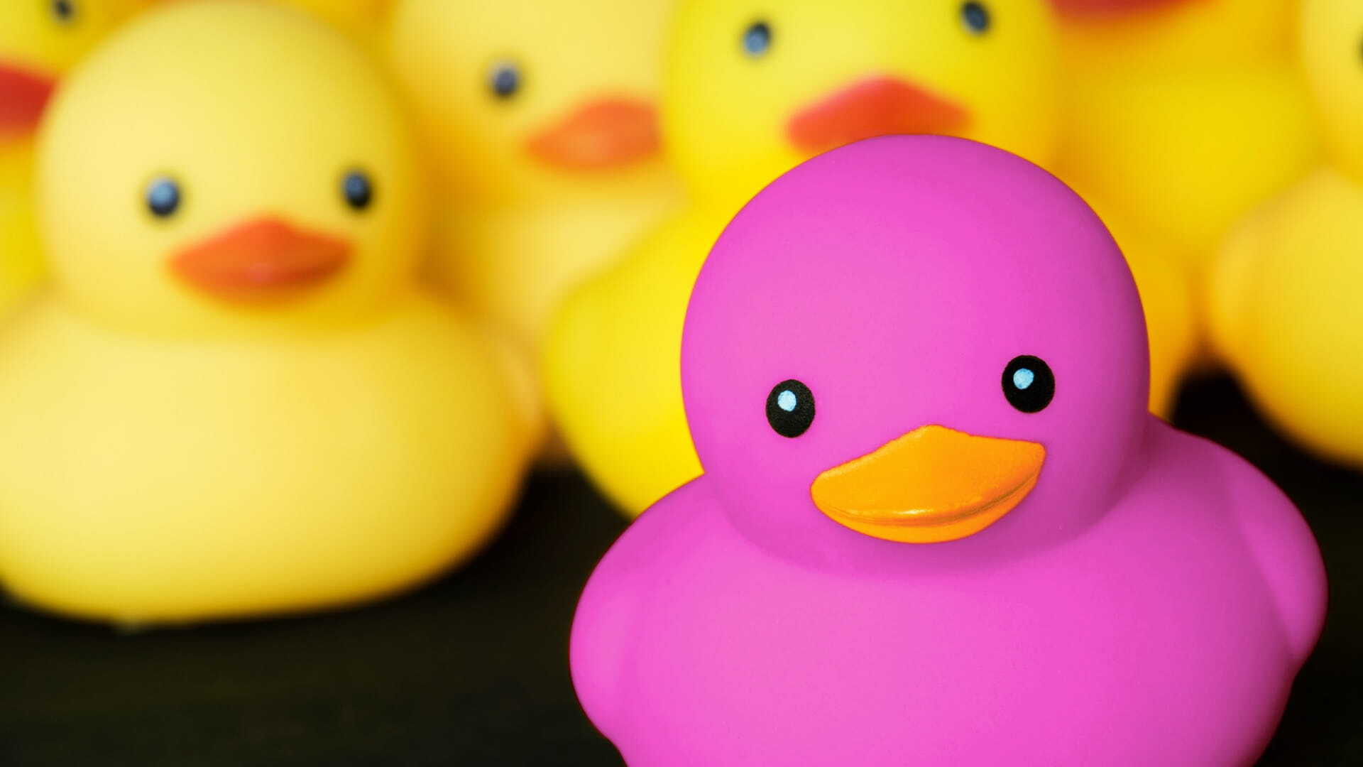 Personal Branding: Warum es für Unternehmen relevanter wird